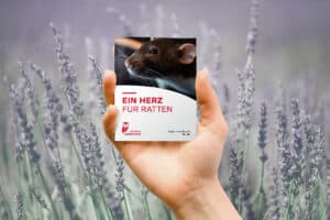 Booklets Tipps & Wissen