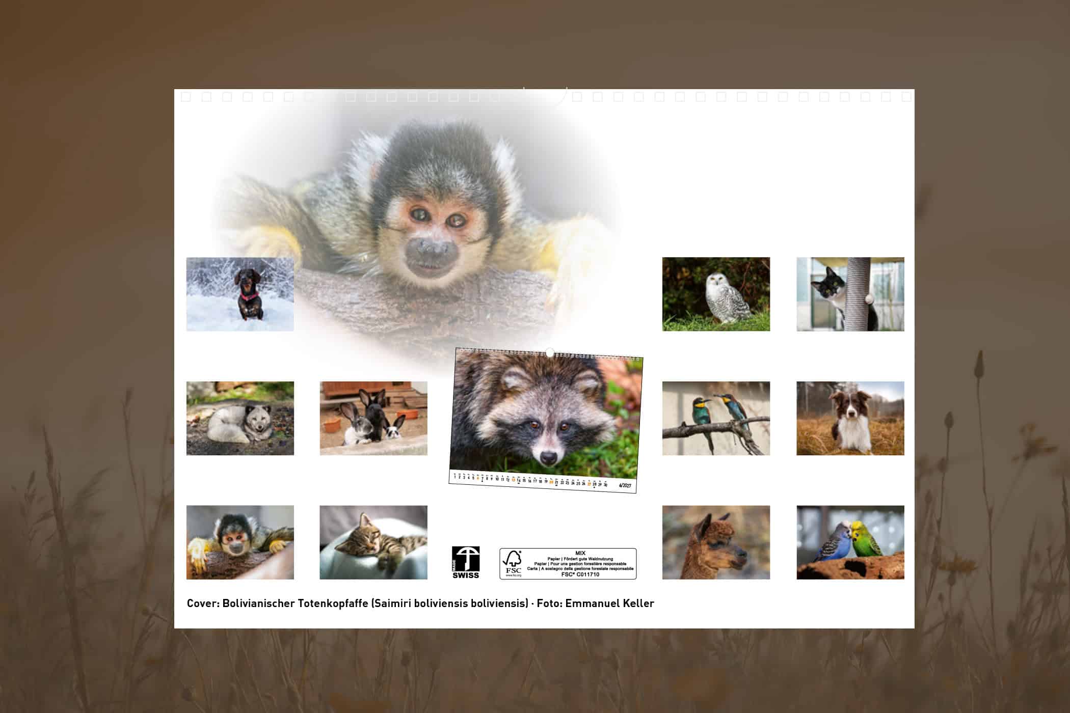Bärner Tierkaländer 2027 – Bild 2